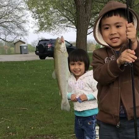Rainbow trout in Sangamon River