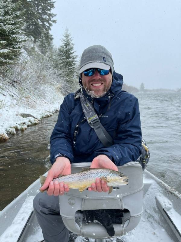 Brown trout in Belgrade