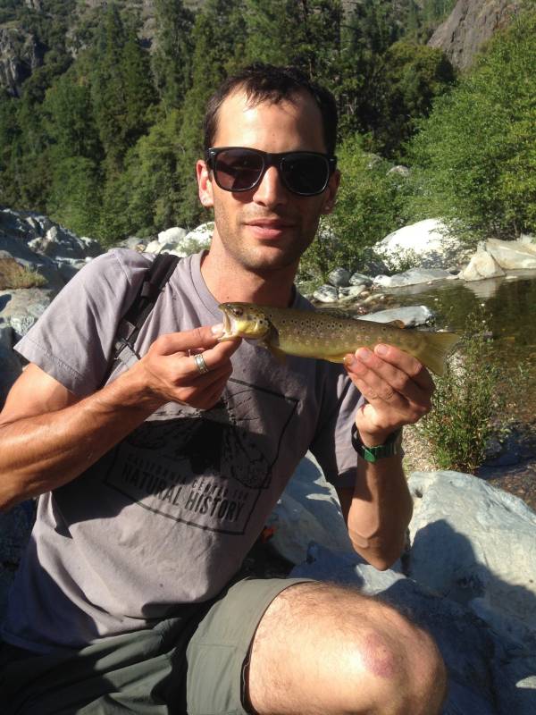 Brown trout in Alta Sierra