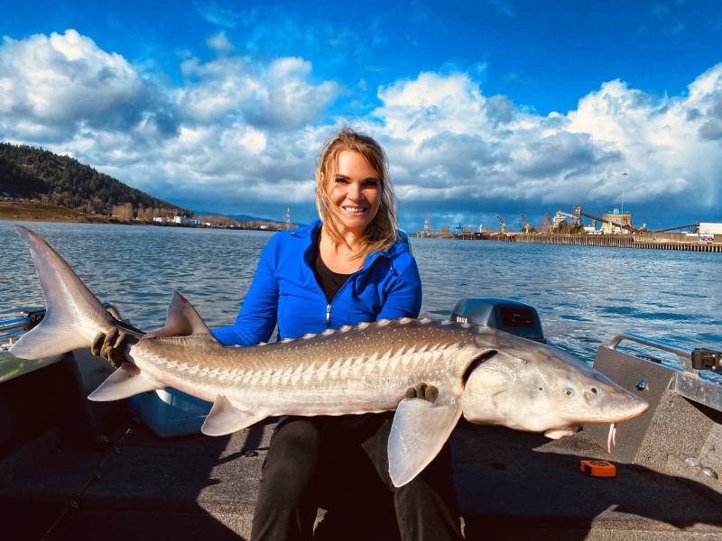 Sturgeon in Aurora