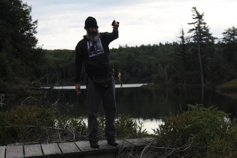 Yellow perch in Highland