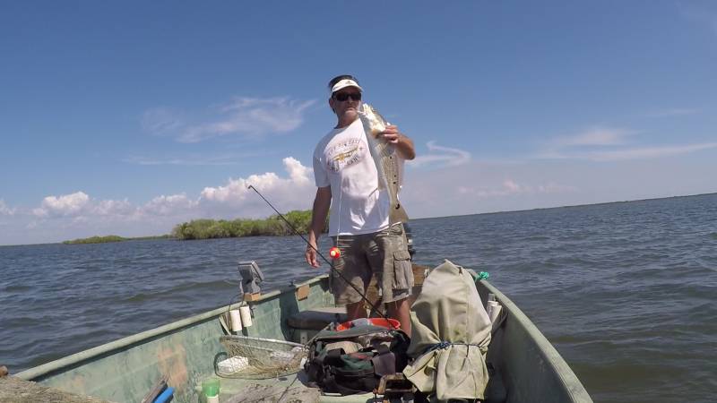 Red drum  (Redfish) in United States