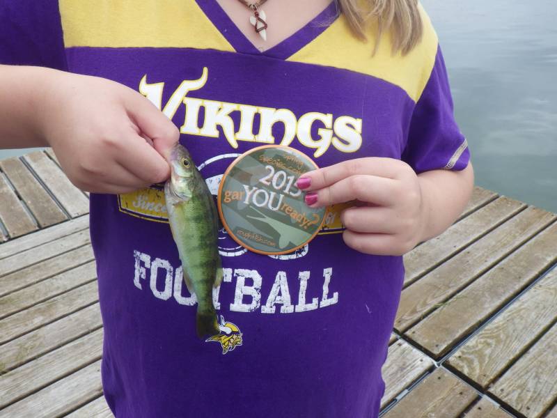 Yellow perch in Racine