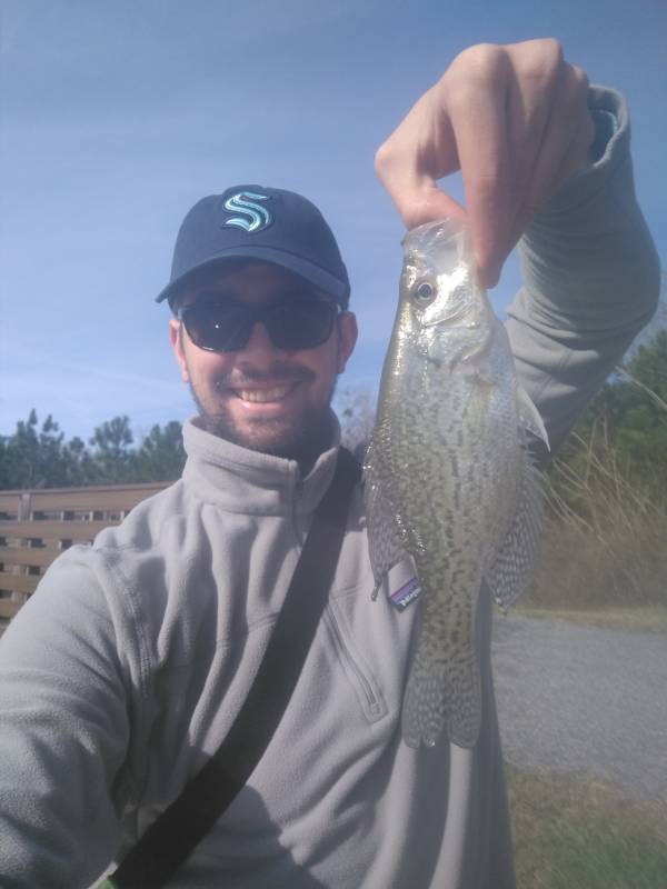 Black crappie in Waverly