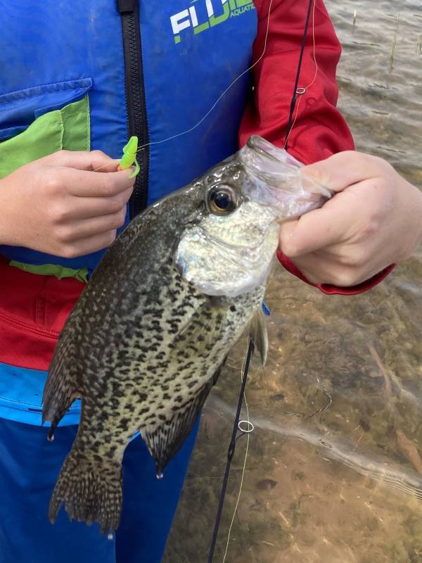 Black crappie in Oklahoma