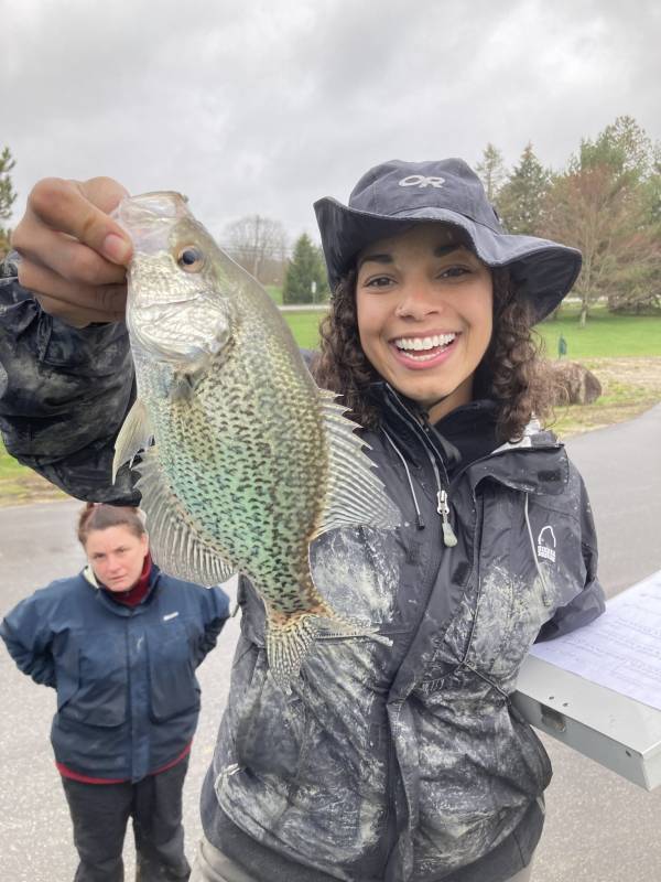 Black crappie in Warrensville Heights