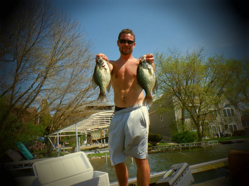 Black crappie in New Berlin
