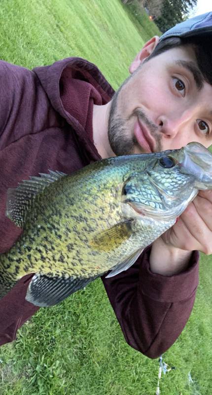 Black crappie in Holland