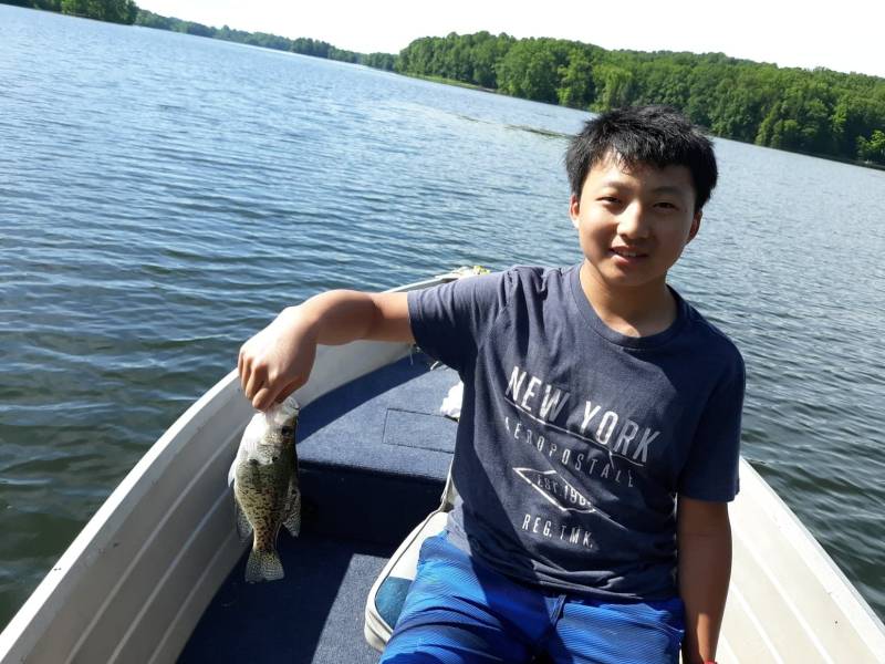 Black crappie in Creston