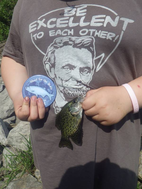 Black crappie in Oconomowoc