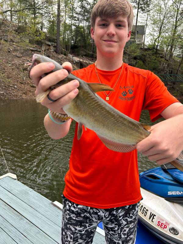 Channel catfish in Hartselle