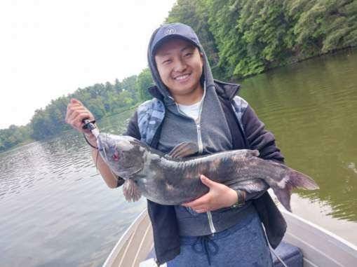 Channel catfish in Fairlawn