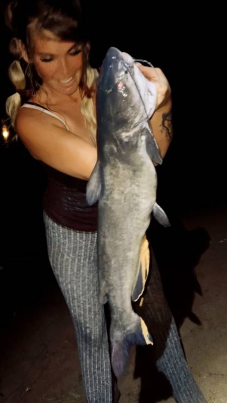 Channel catfish in Saint Croix River