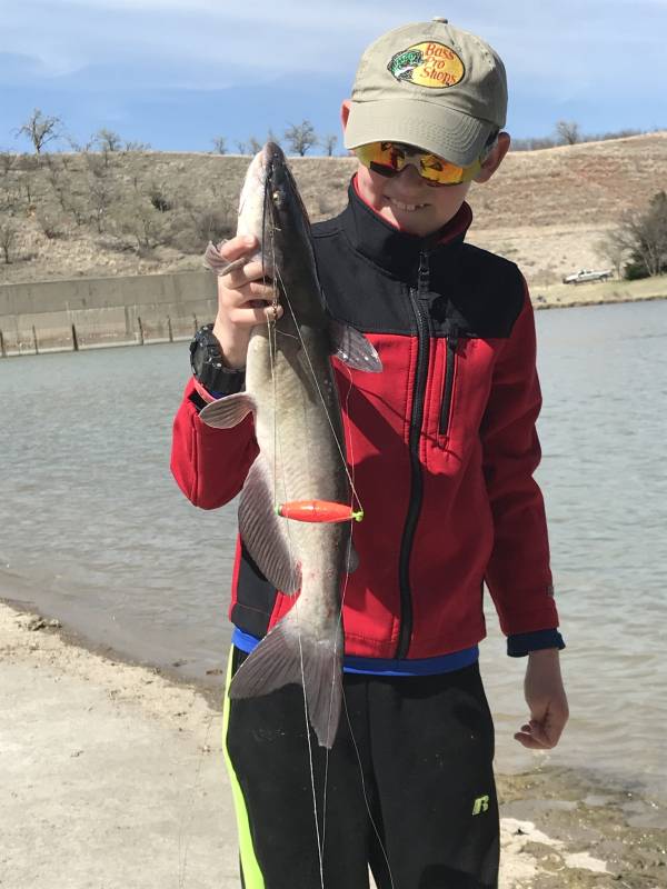 Channel catfish in Oklahoma