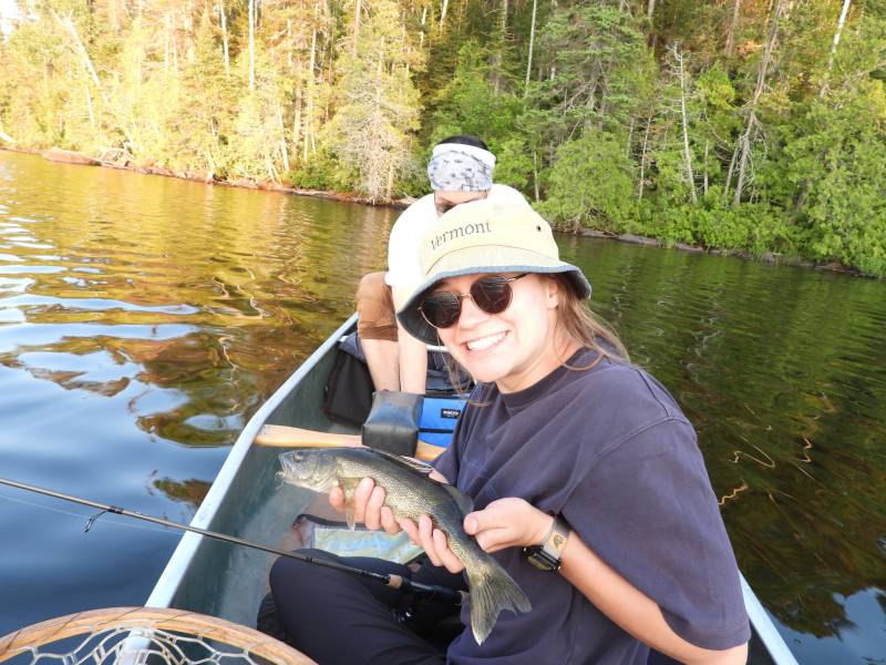 Walleye in Cook County