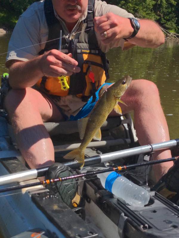 Walleye in Ridgway