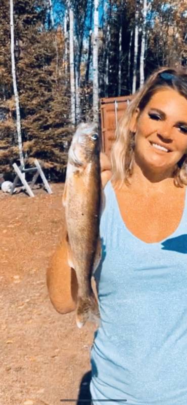 Walleye in Itasca County