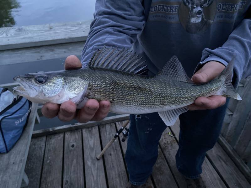 Walleye in Milbank