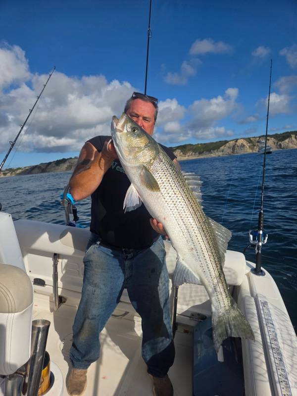 Striped bass in Jewett City