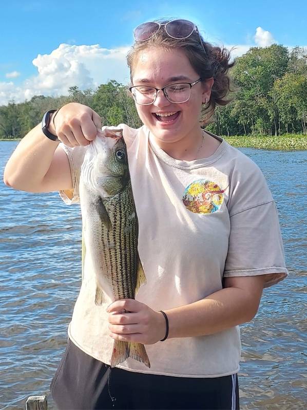 Striped bass in Dagsboro