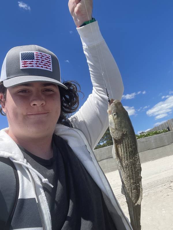 Striped bass in Jewett City