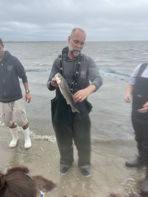 Striped bass in Medford Lakes