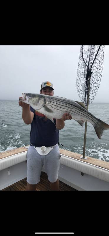 Striped bass in Arlington