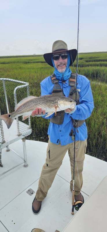 Red drum  (Redfish) in Matagorda Bay