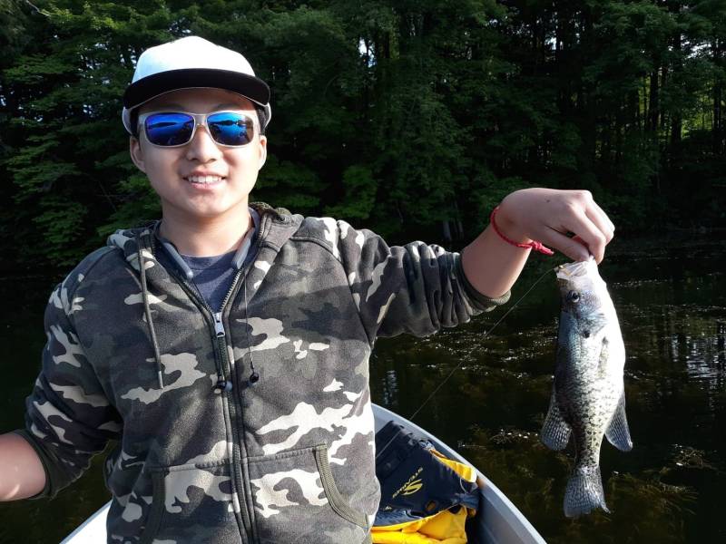 White crappie in Rocky River
