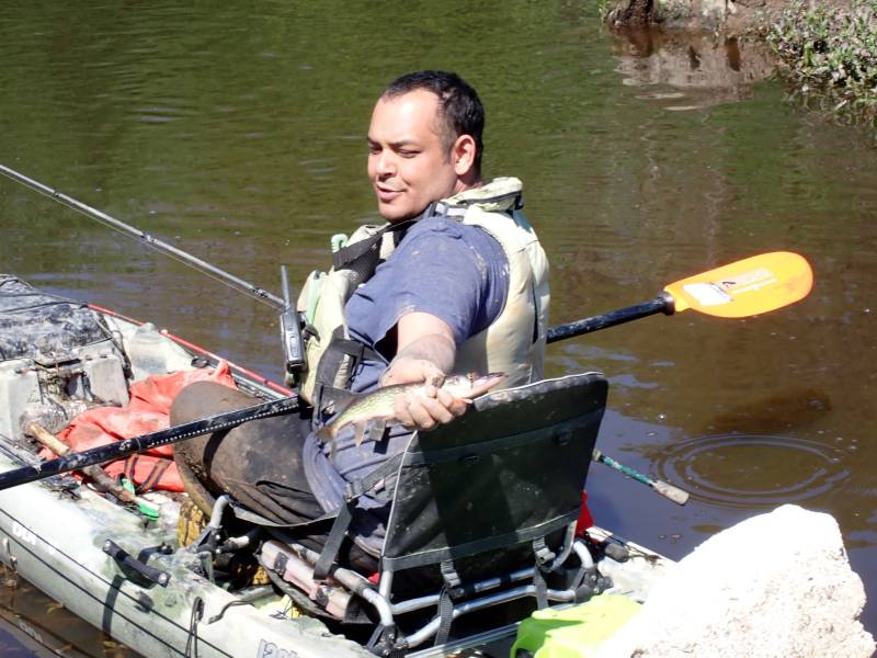 Chain pickerel in Richmond