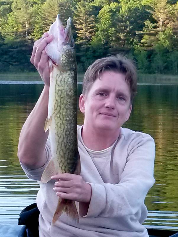 Chain pickerel in Auburn
