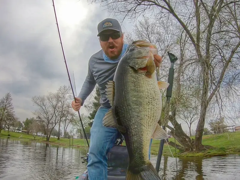 Largemouth bass in United States