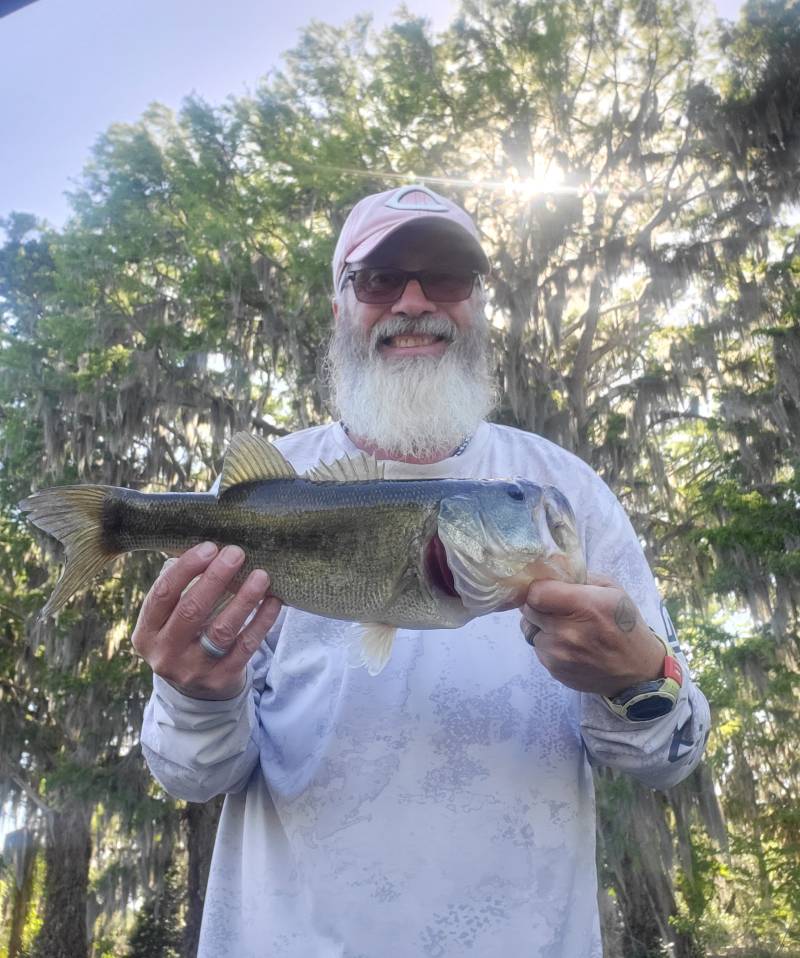 Largemouth bass in Coleman