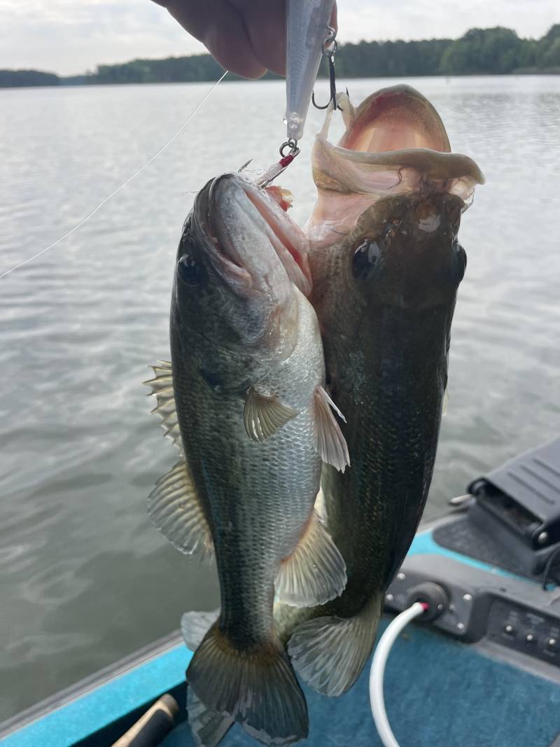 Fishing in United States