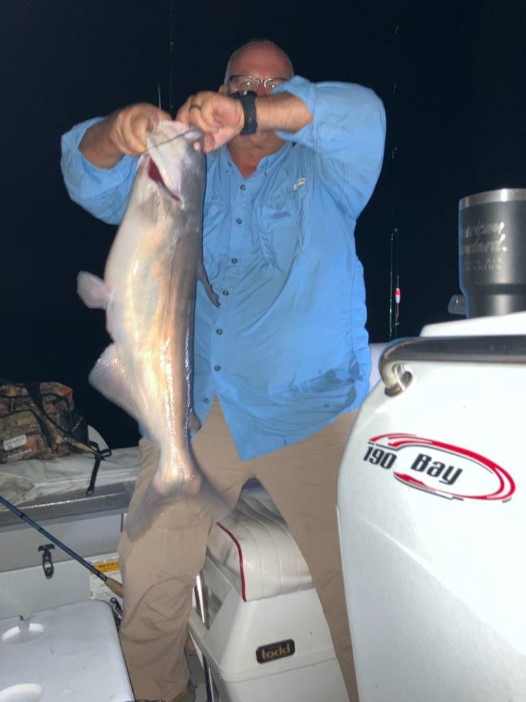 Channel catfish in Krugerville