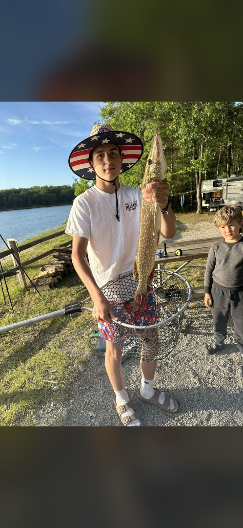 Northern pike in Delta County