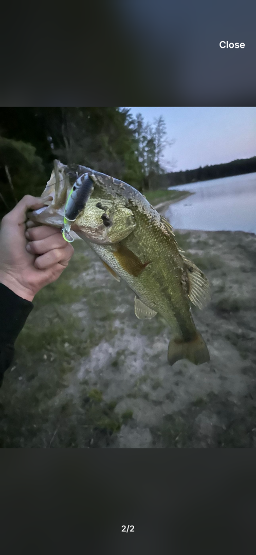 Fishing in Delta County