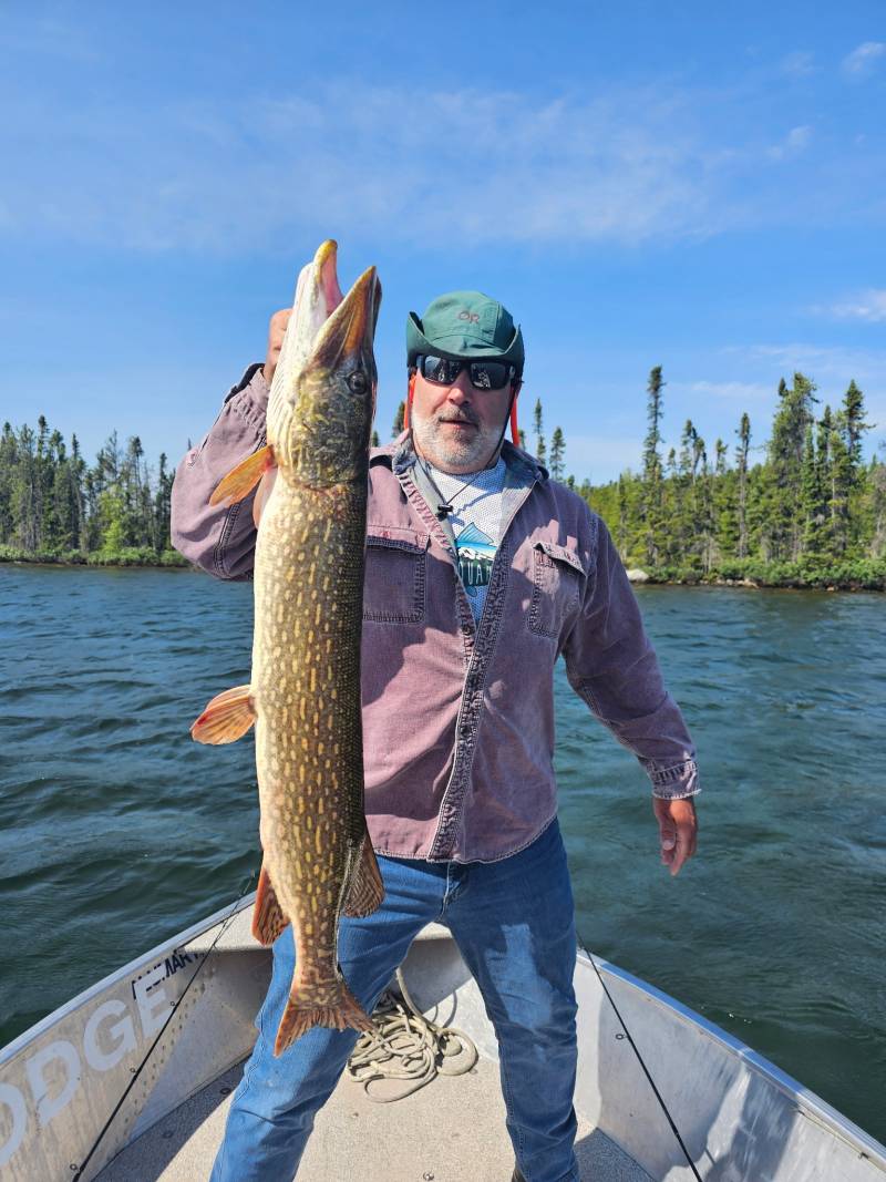 Northern pike in United States