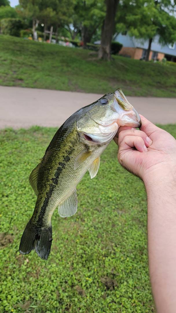 Fishing in Celeste