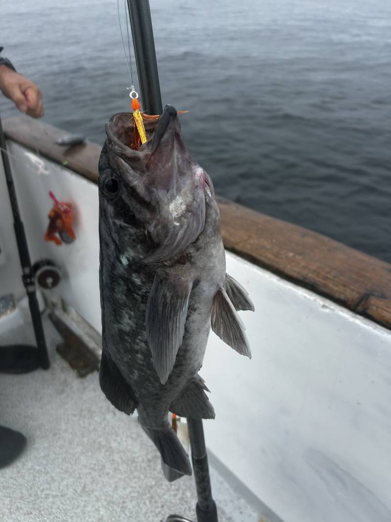 Fishing in United States