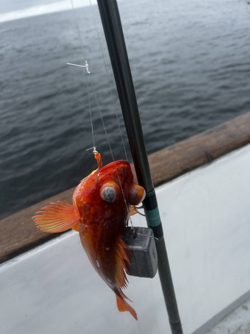 Fishing in United States