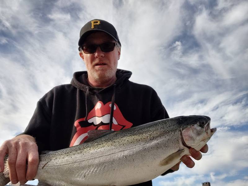 Steelhead in Lake Erie