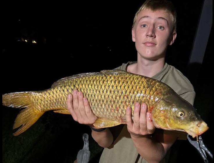 Common carp in Tennessee