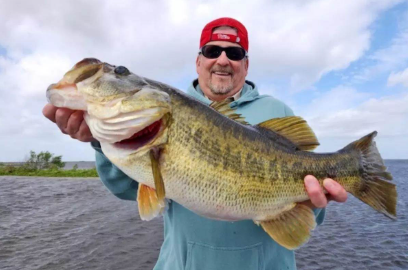 Largemouth bass in United States