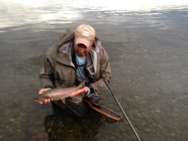 Steelhead in Montana