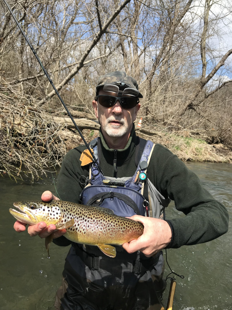 Brown trout in State College